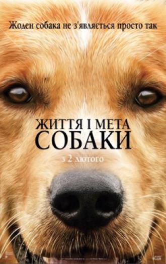 постер Життя і мета собаки