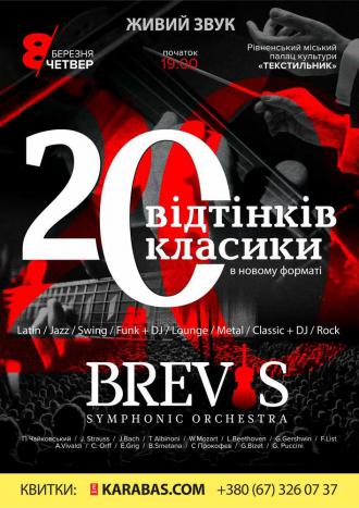 постер Симфонический оркестр «BREVIS»