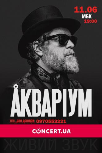 постер Борис Гребенщиков