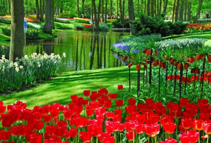 фото  Королівський парк квітів Койкенхоф - 5 днів за 130 євро/ос 